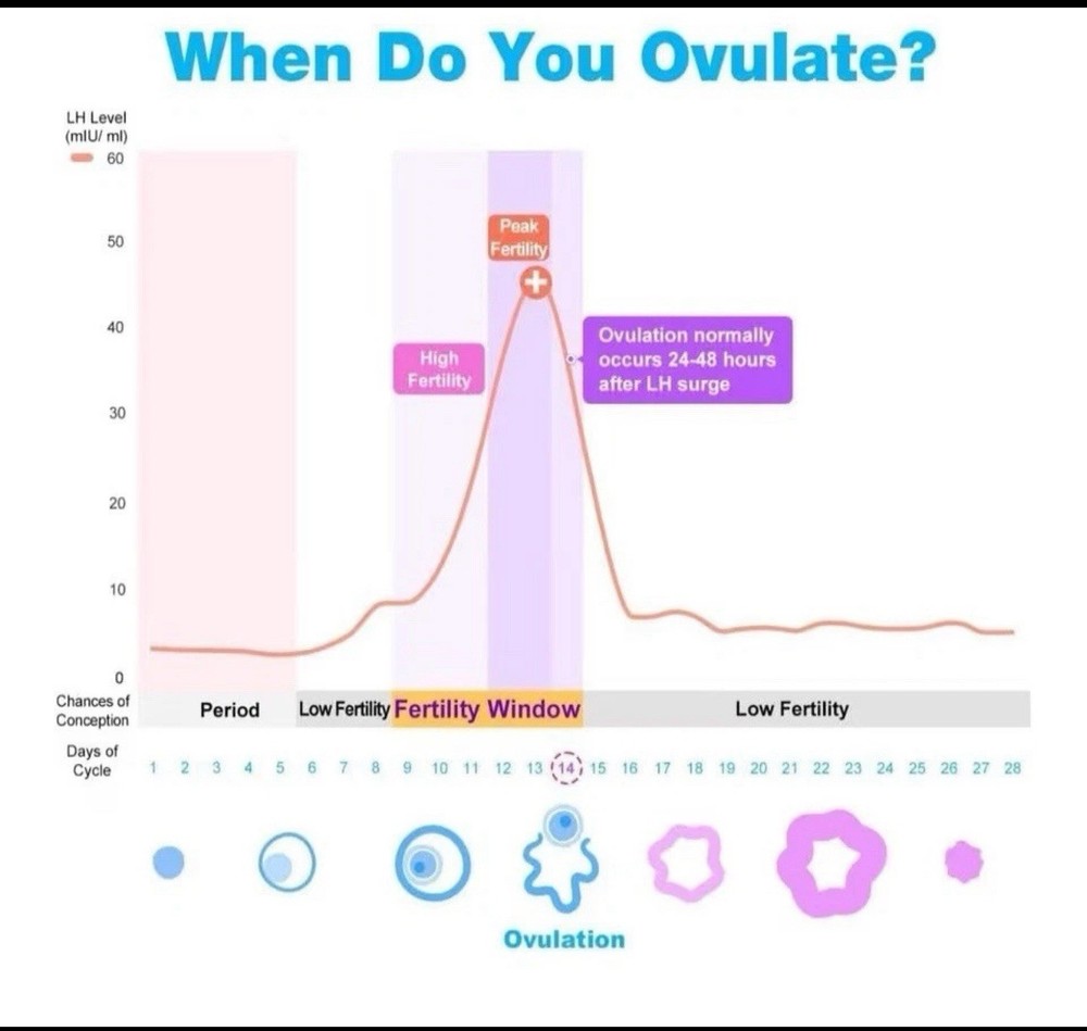 Easy@Home Ovulation Test Strips (50-Pack), FSA Eligible Ovulation Predictor Kit