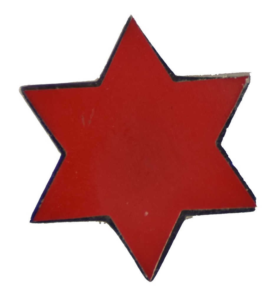 6TH DIV HAT PIN