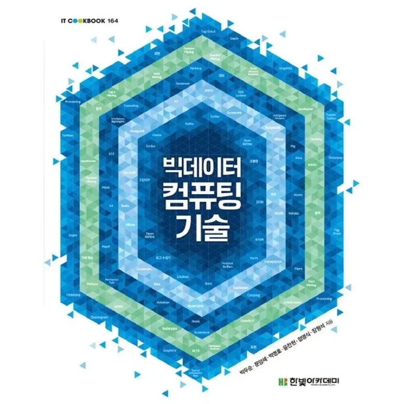 Big Data Computing Technology New Book Science IT