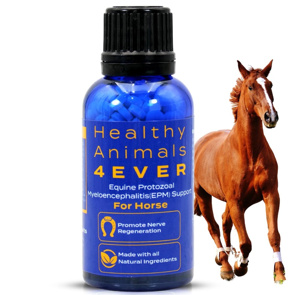 HA4E - Equine Protozoal Myeloencephalitis (EPM) Support - Reduces Weakness, A...