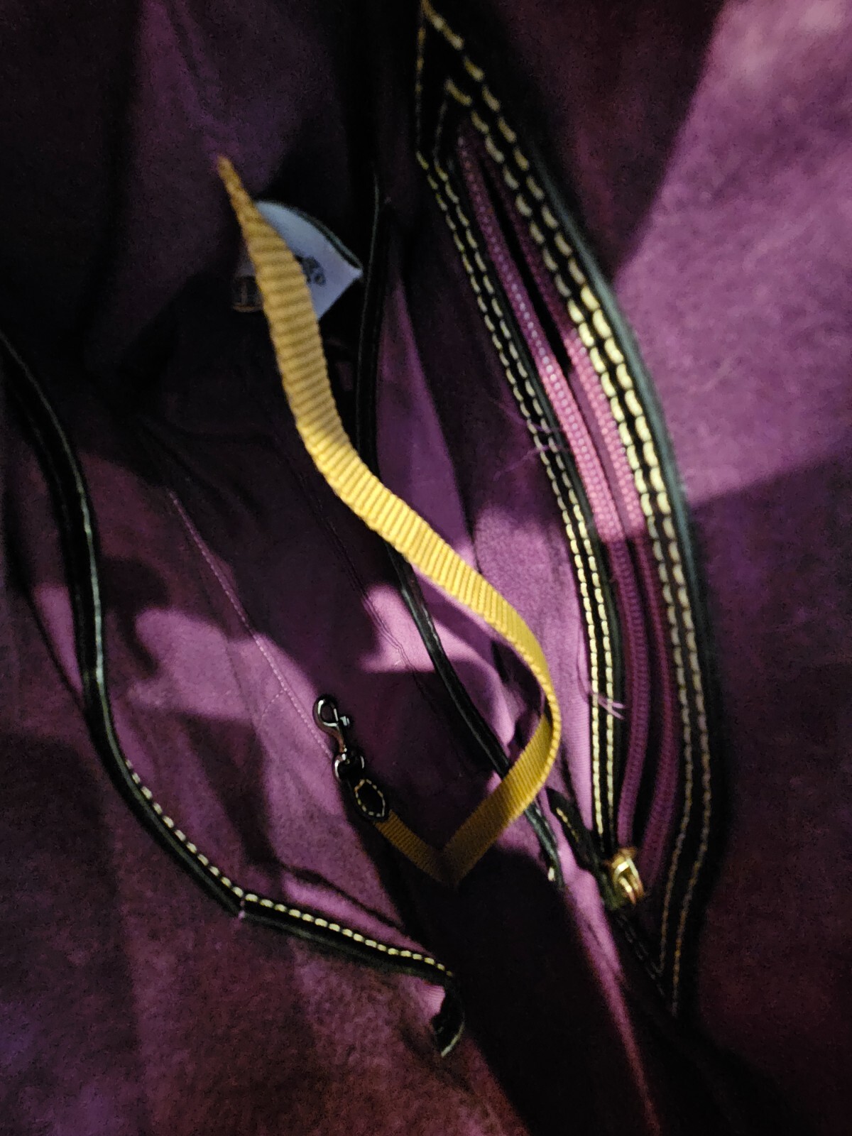 Dooney & Bourke Disney Haunted Mansion 50th Anniversary Satchel