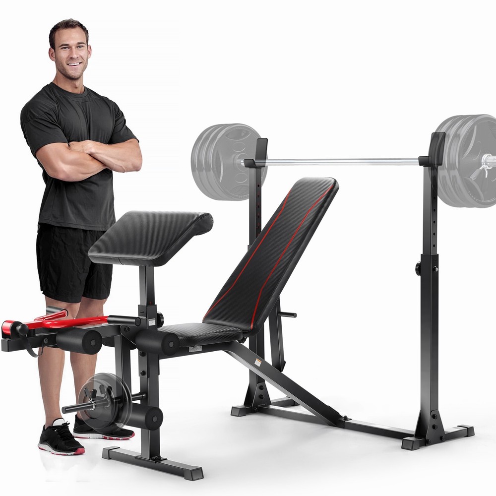 Adjustable Weight Bench Press with Squat Rack Multi-Function Dip Station Workout