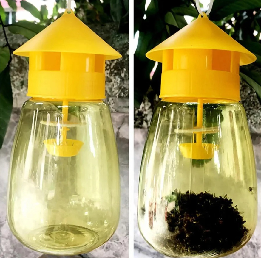 3pcs Fruit Fly & Insect Trap – Outdoor Plastic Hanging Drosophila Killer - NEW