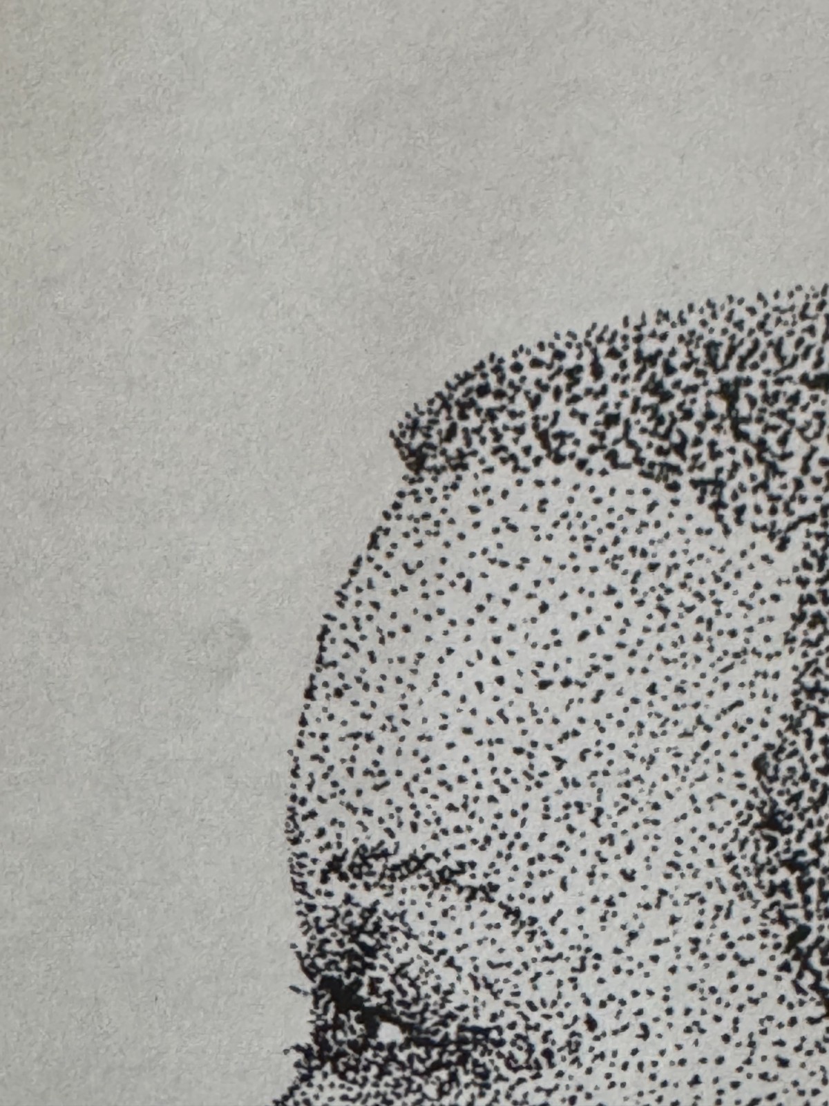 Original Pointillism Young African-American Woman Pen Portrait Drawing 8.5"x11"