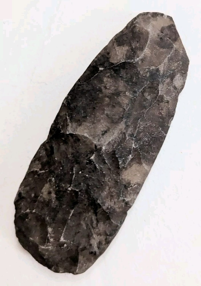 AXEHEAD NEOLITHIC STONE CHISEL TOOL CELT ADZE BLADE TUAREG ARTIFACT NIGER ETHNIX