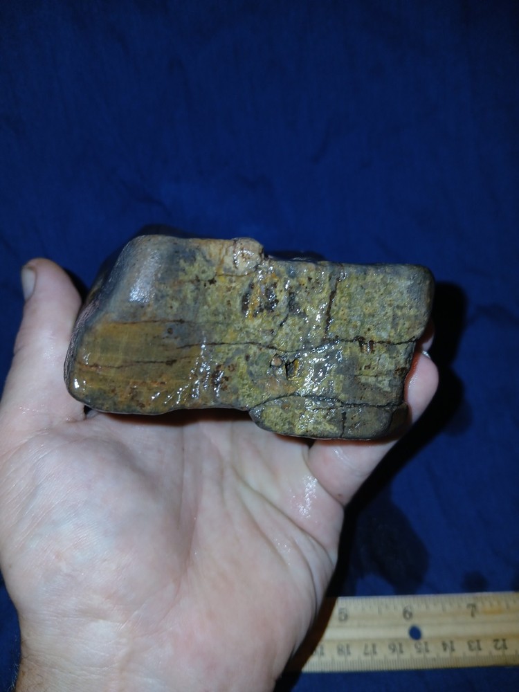 30 oz Petrified Wood