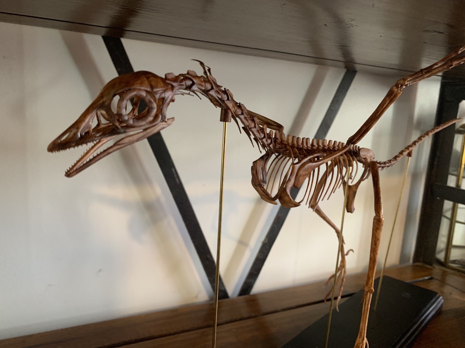 Dinosaur/Replica Skeleton Archaeopteryx of 23 5/8in Base Wood Black