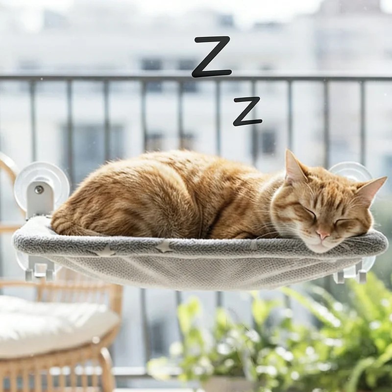 Cat Window Perch Cordless Foldable Pet Hammock Bed Glow in The Dark Glowing