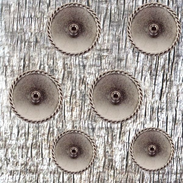 Southwest Round Rope Edge Saguaro Cactus Concho Saddle Set CON302-B-ACPR-SD-SET