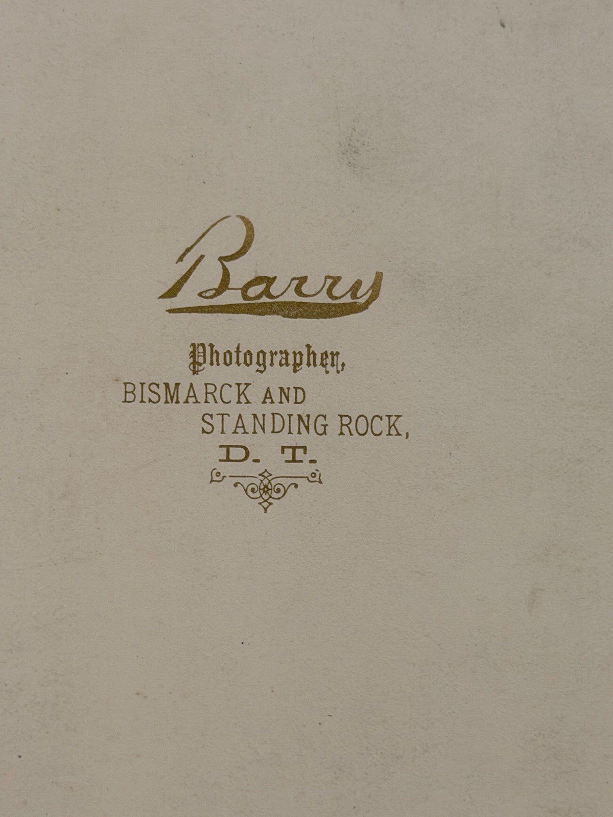 Antique Native American Indian Albumen Print "Chief John Grass" By: D. F. Barry