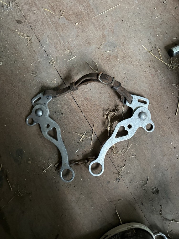 Hackamore Set Up