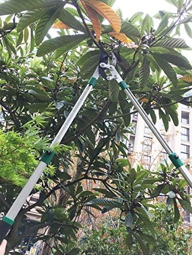 SK5 High-Performance Compound Action Anvil Lopper,Chops Thick Branches