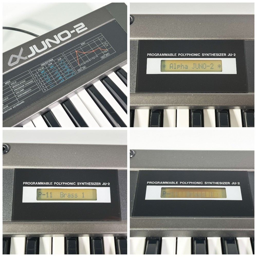 Roland α Alpha Juno 2 61 Key Polyphonic Synthesizer Mobile Keyboard