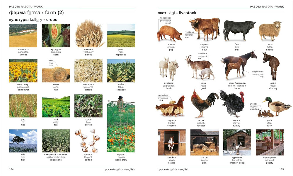 Russian - English Bilingual Visual Dictionary