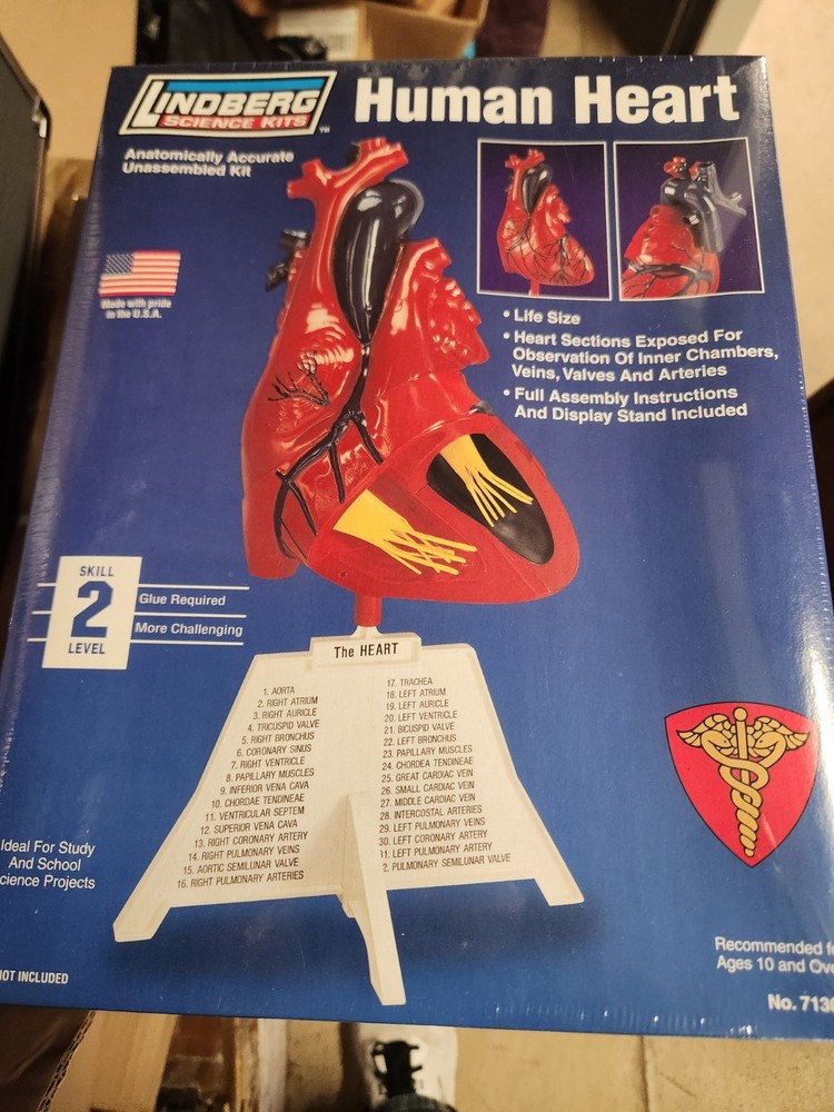 Heart Model