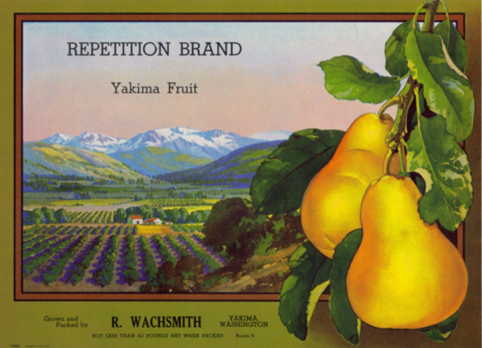 Original 25 REPETITION pear crate labels Wachsmith Yakima Washington - wholesale