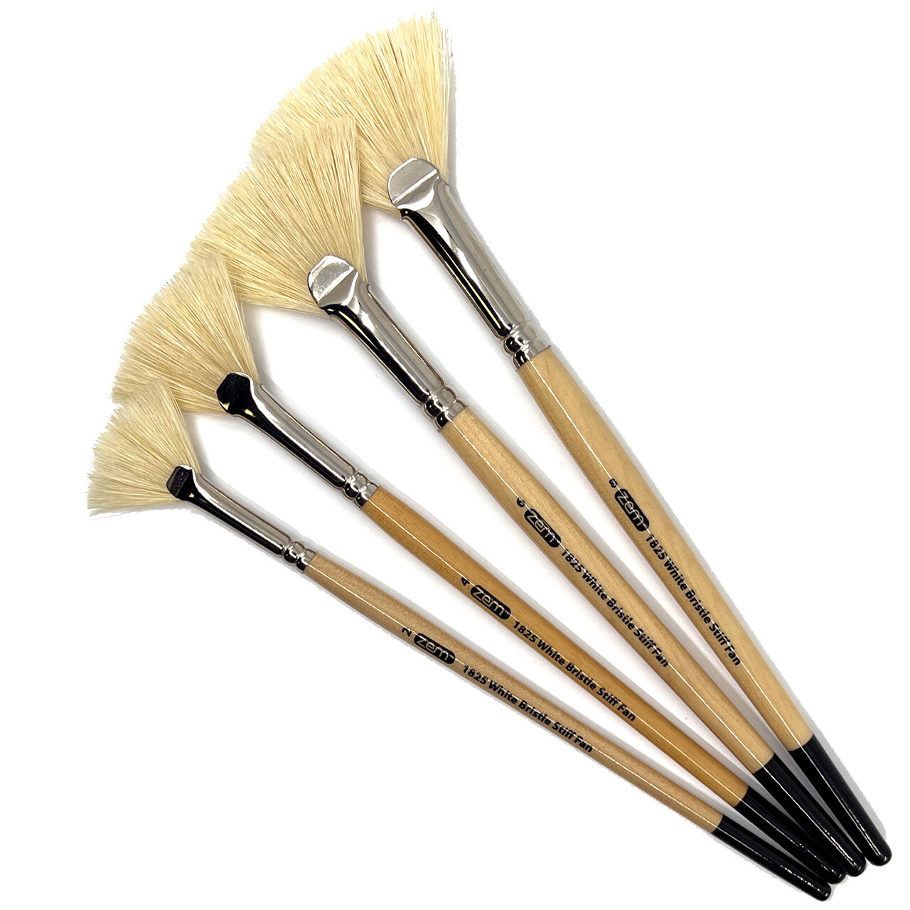 AS-120 White Stiff Fan Hog Bristle Brush Set 4pcs