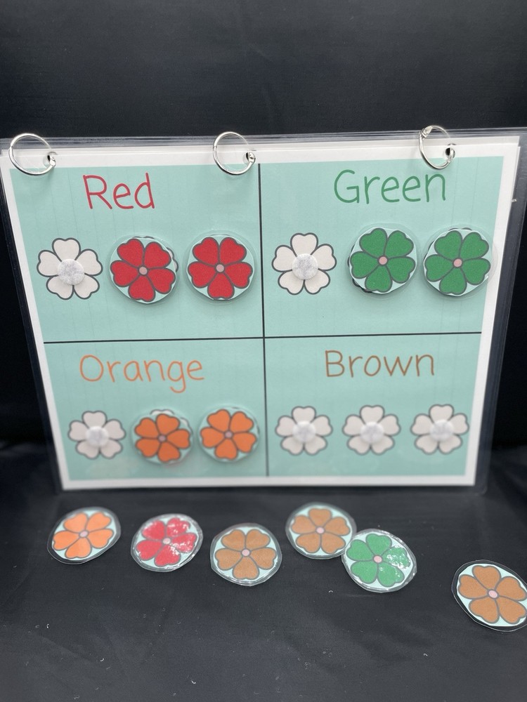 Color Sorting And Matching Children’s File Folder Activity Game Book