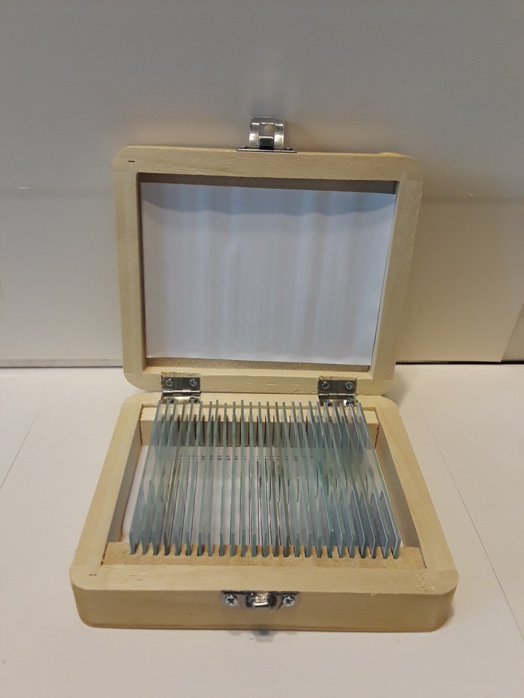 NEW AmScope 25 Prepared Microscope Slide Set for Basic Biological Science