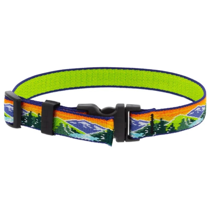 LupinePet El Paso Pattern e-Collar Dog Training Replacement Strap Durable