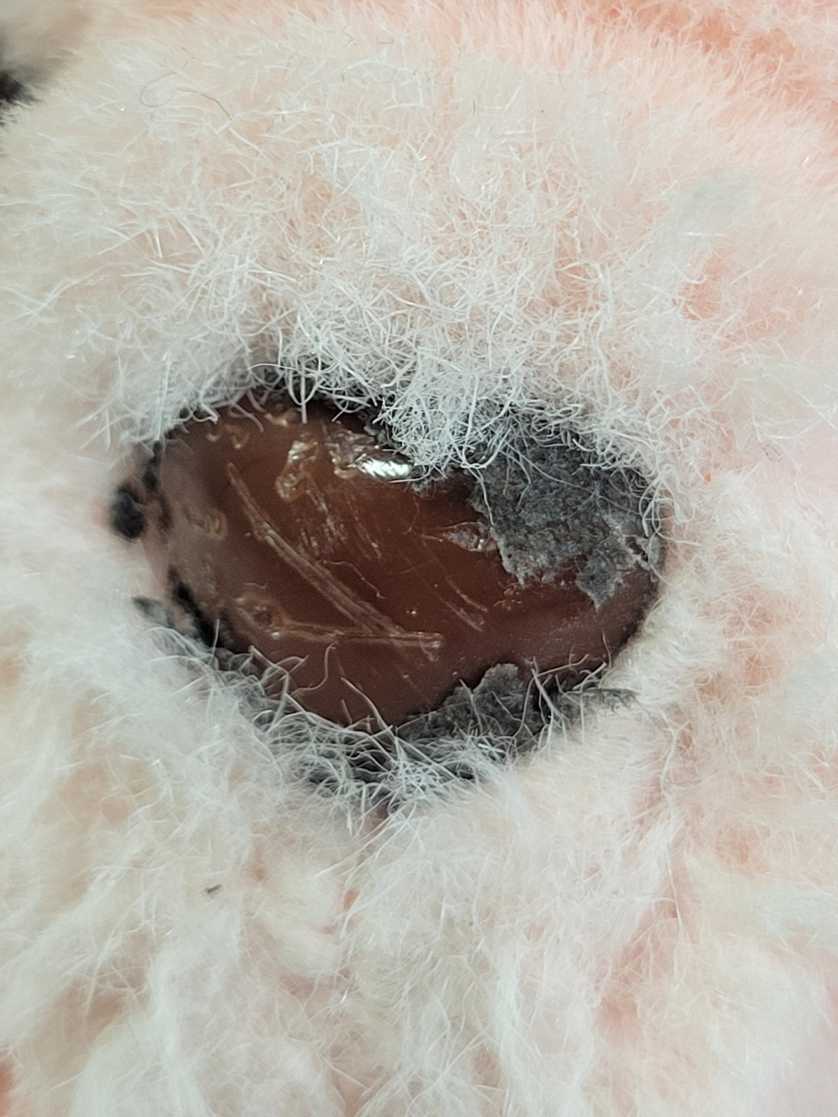 Vtg 1985 Pink Teddy Bear Plush Animal Toy Soft Cute Adorable Stuffed