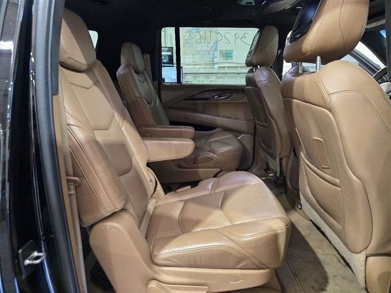 ESCALAESV 2017 Camera/Projector 590723