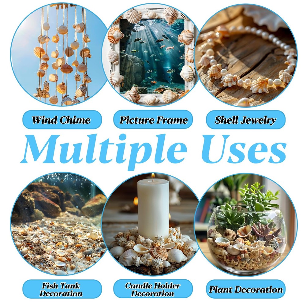 314-Grams Tiny Seashells for Crafts Small Mixed Ocean Beach Shells Bulk