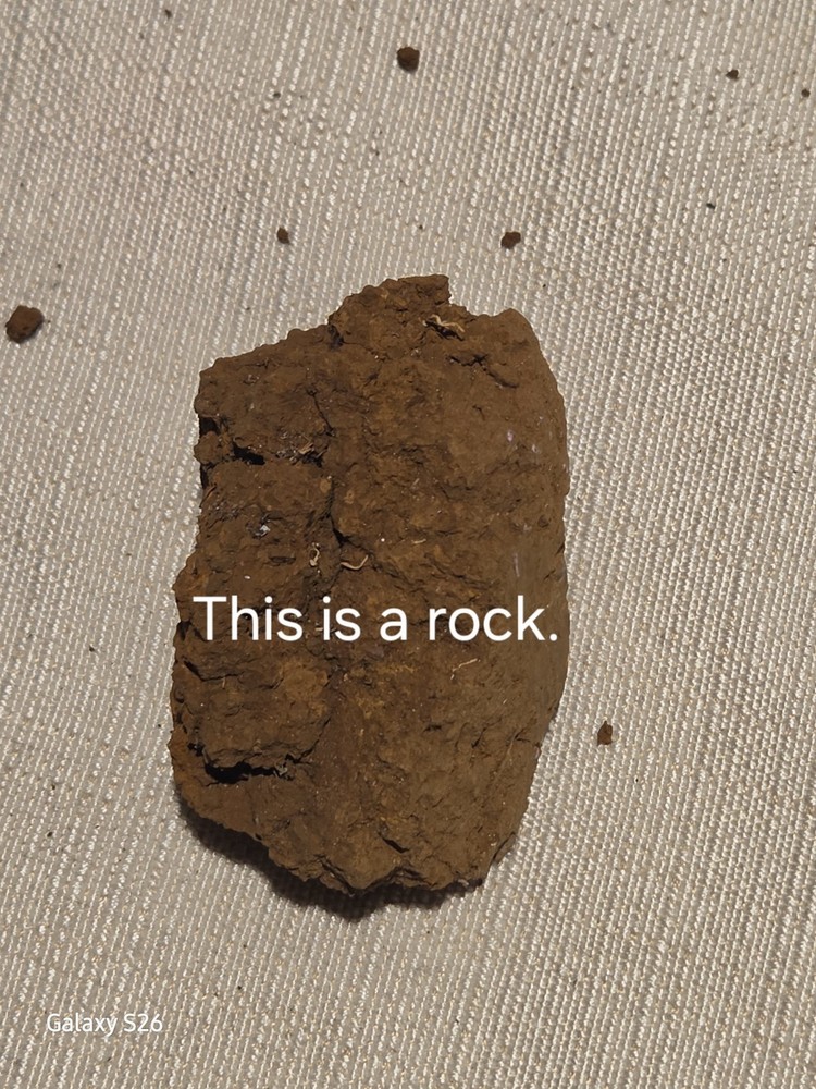 Brown Rock Specimen
