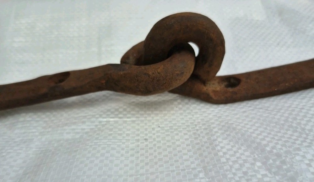 Vintage Iron Gate Door Swing Hinge