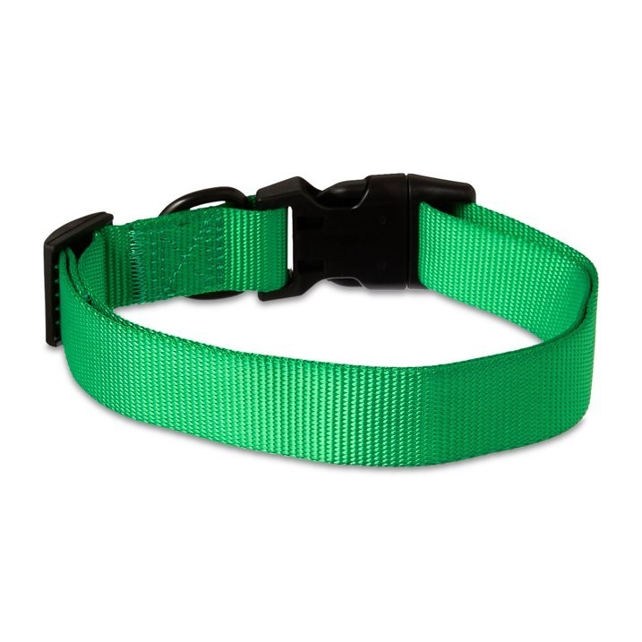 Vibrant Life Polyester Adjustable Dog Collar, Green,