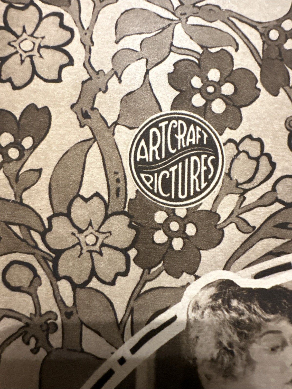 ANTIQUE ART CRAFT PICTURES/ PARAMOUNT Silent Film Movie LOBBY POSTER CARD