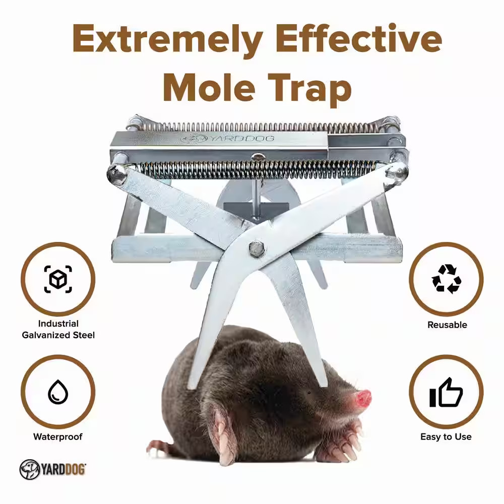 Mole Trap