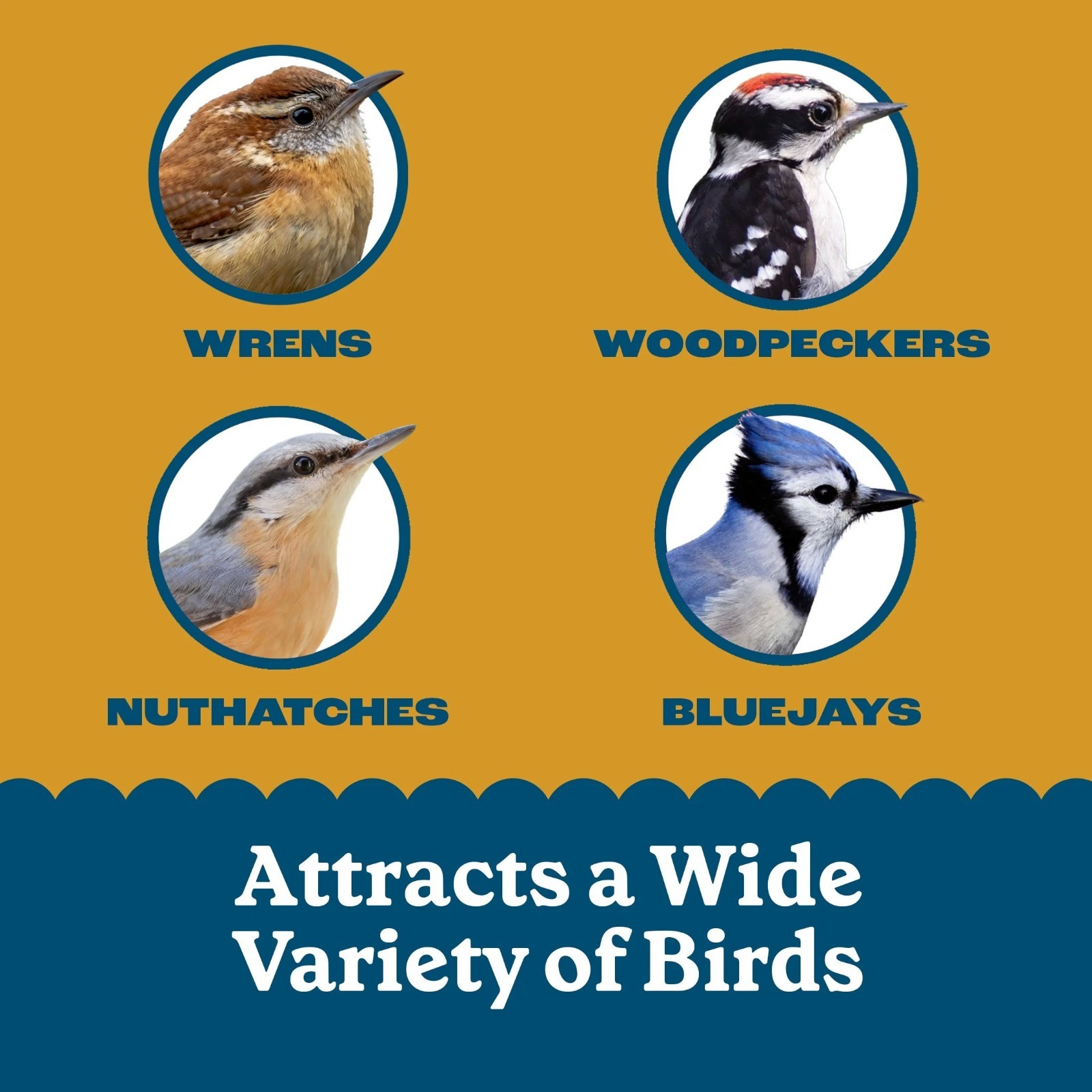 Peanut Delight Suet, 11.75 oz. Cake, Wild Bird Food, 8 Count Value Pack, Fresh