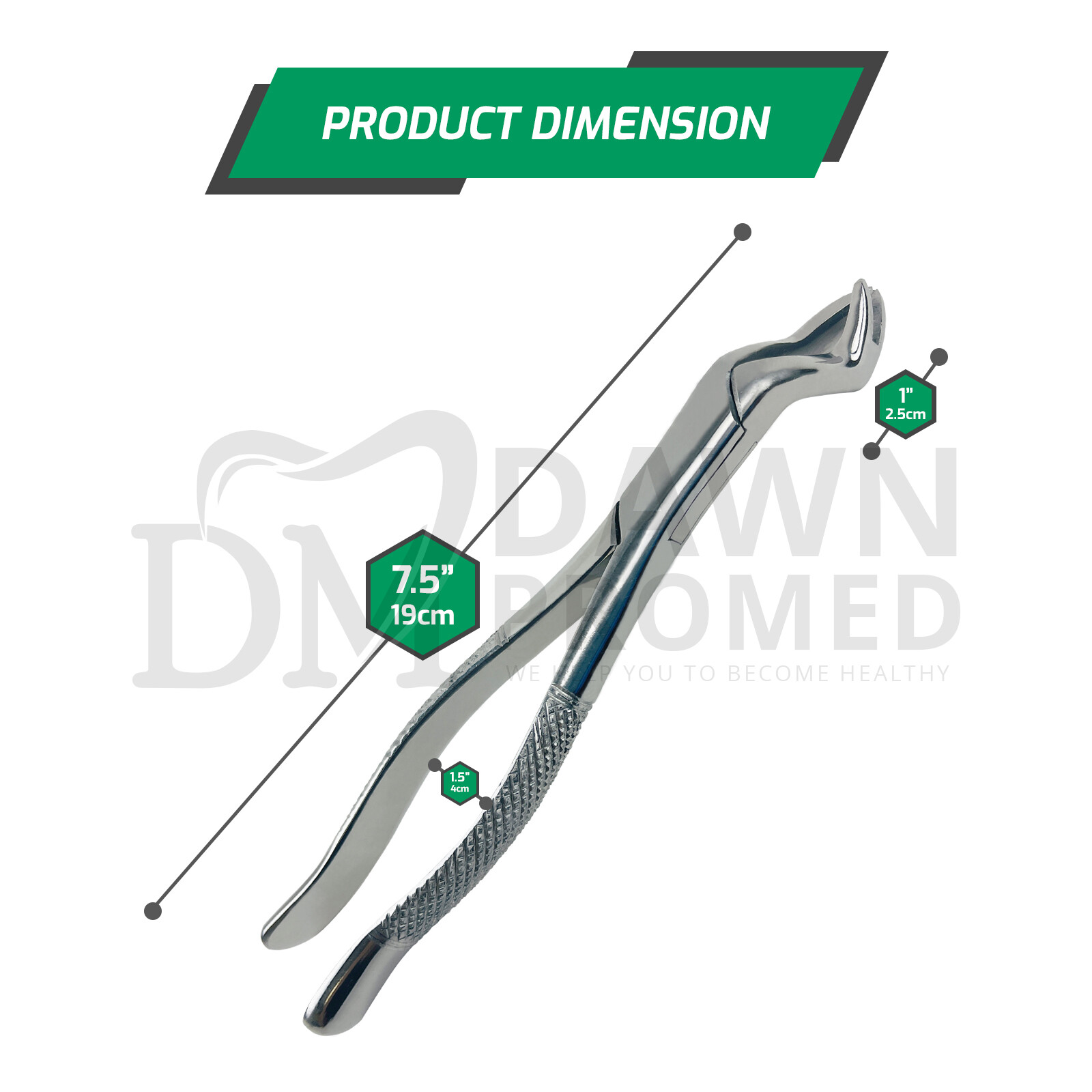 Dental Extracting Forceps 88L & 88R Molar Tooth Extraction Surgical German Grade