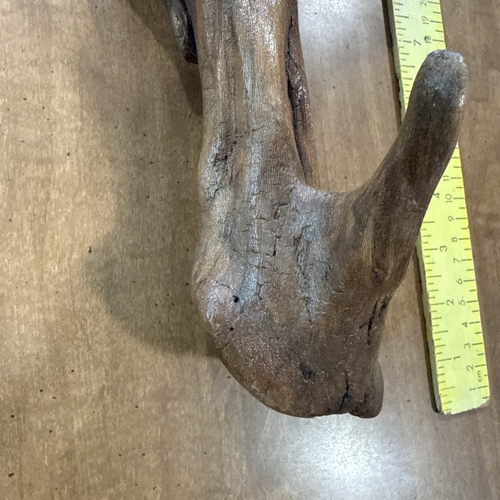 Driftwood Art Or Decoration