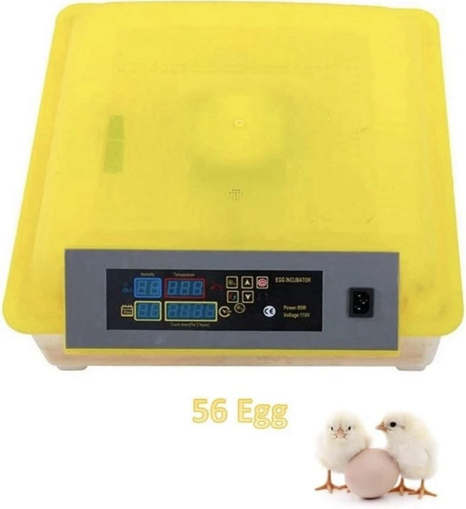 56 Digital Egg Incubator with Automatic Turner, Display, Green