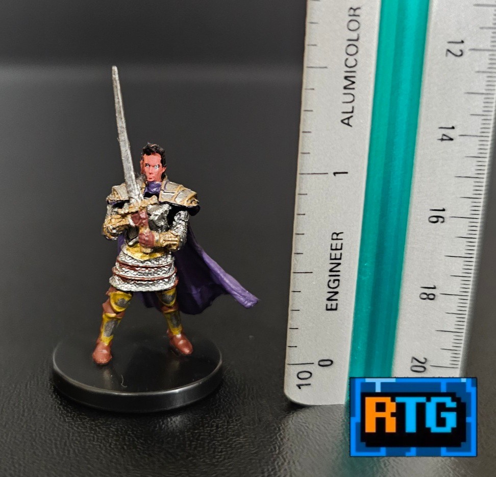 Dungeons & Dragons Human Paladin #23 Miniature, Used