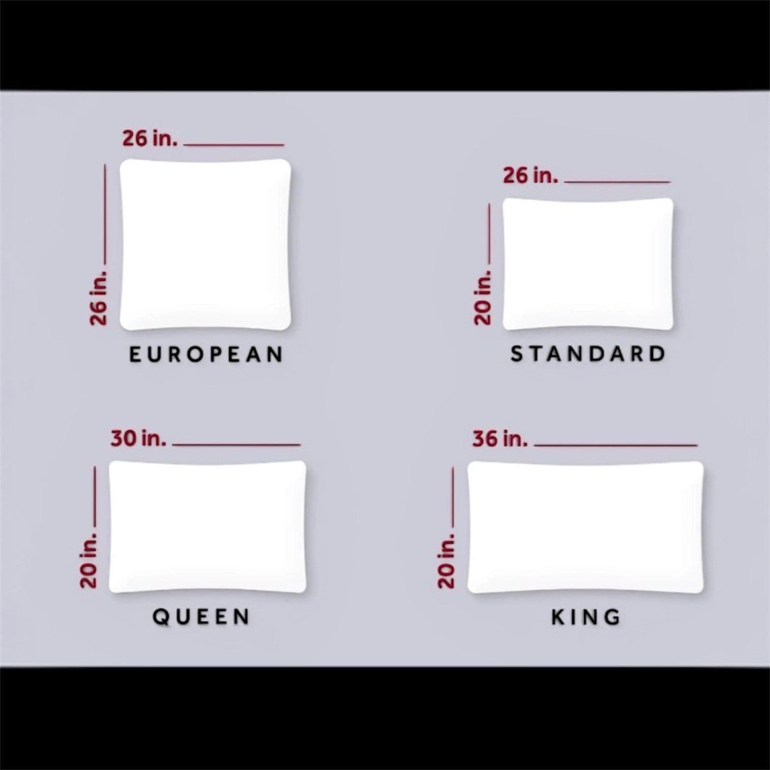 Marriott Hotels 2-Pack Feather & Down Queen 20x30 Pillows Exclusive Authentic