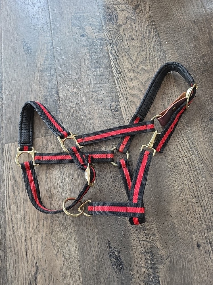 Cob Halter