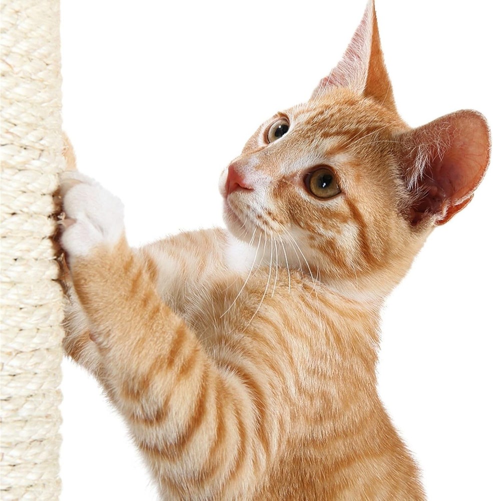 Replacement Sisal Post for Cat Scratching Posts, Backup Scratcher for Indoor ...