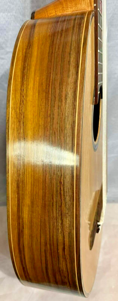 Blueberry Handmade Ten String Classical Nylon String Guitar Built to Order