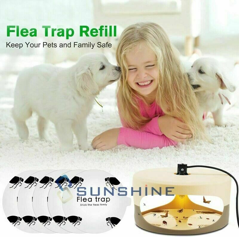 5 Flea Trap Refill Sticky Discs Replacement Glue Bug Fly Insects Catcher Boards