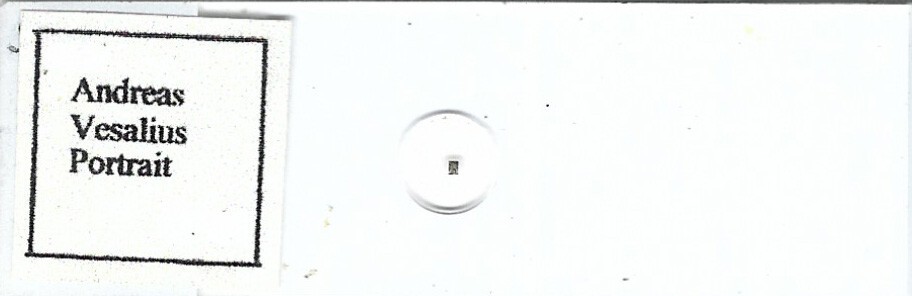 Andreas Vesalius Portrait Microphotograph Microscope Slide