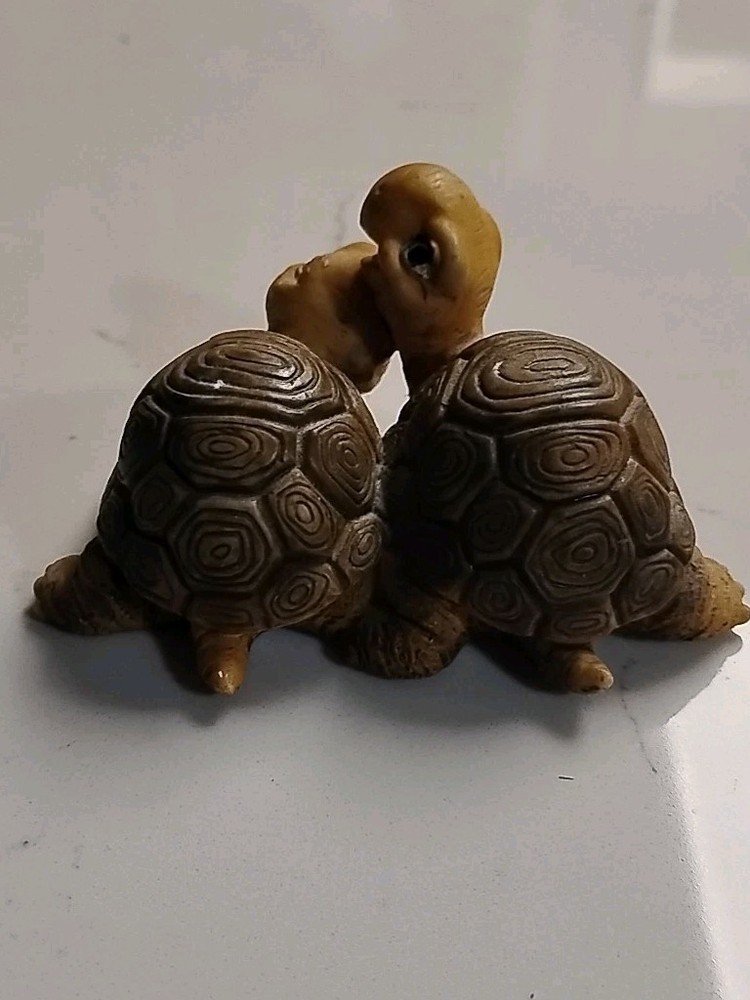 Turtle Pair