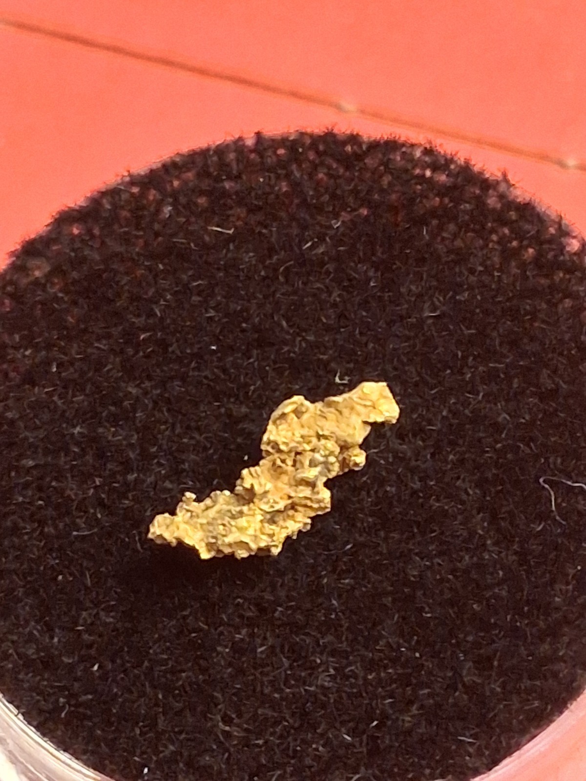 Crystalline Gold Nugget From Kansas Twister Paydirt 0.294g