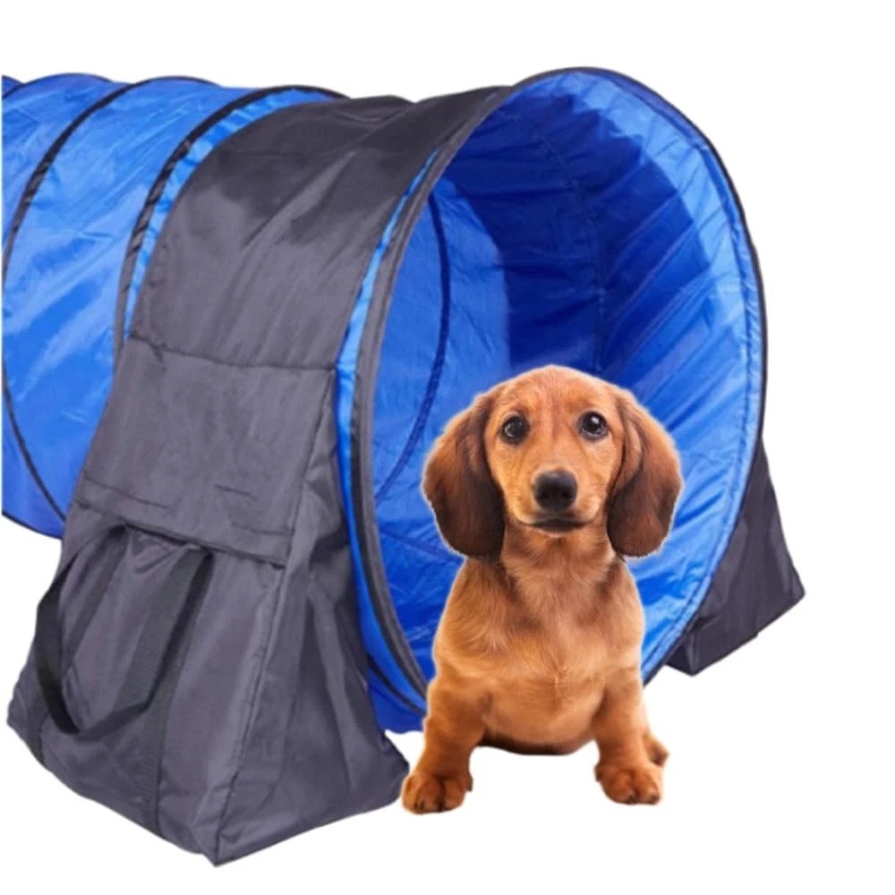 Dog Agility Equipment, Tunnel Sandbags 2 Pack, Hold One End, Holding Bags