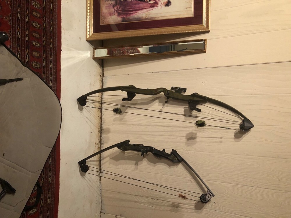 carry case and 2 compound bows