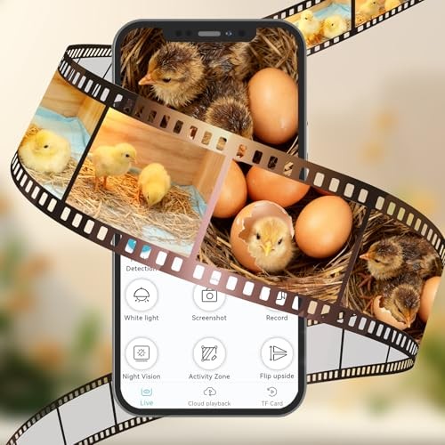 Chicken Brooder Box with Camera : 2.5K HD 5G Chicken Watching Camera,