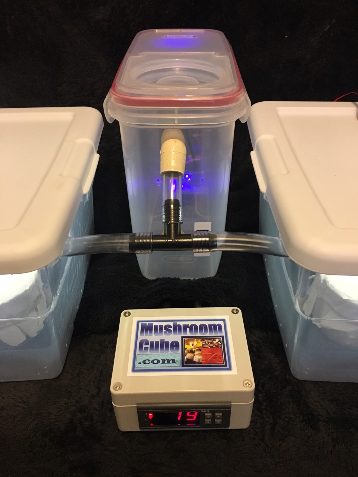 Automated Mushroom Growing Kit with 12 PF Tek Jars Sterile Substrate