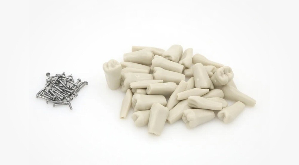 ADC EXAM teeth For Columbia  Dentoform - 200 pack